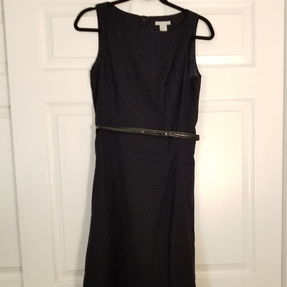NWT navy micro dot dress